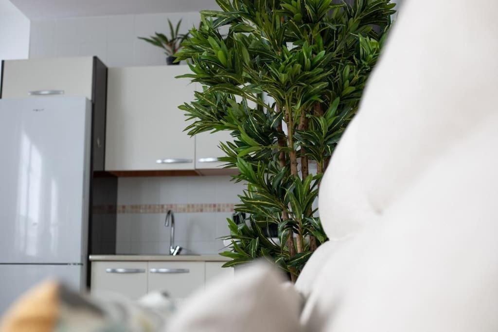 מאלגה Trinidad Apartment מראה חיצוני תמונה